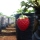 Nangorak, Strawberry field dan Melon segar